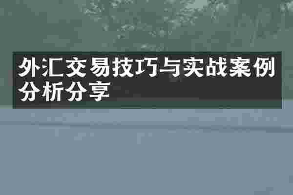 外汇交易技巧与实战案例分析分享