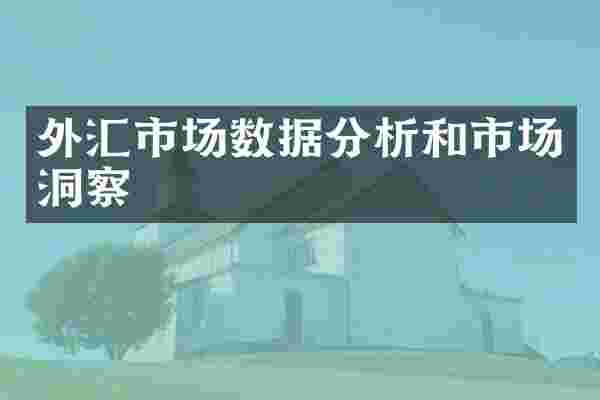 外汇市场数据分析和市场洞察