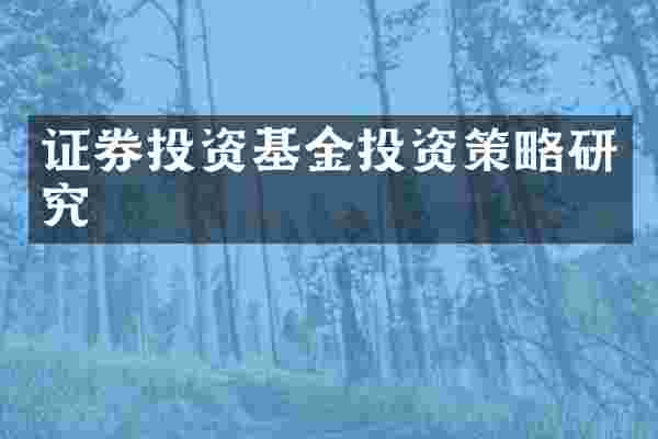 证券投资基金投资策略研究