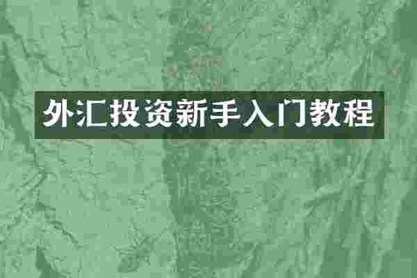 外汇投资新手入门教程