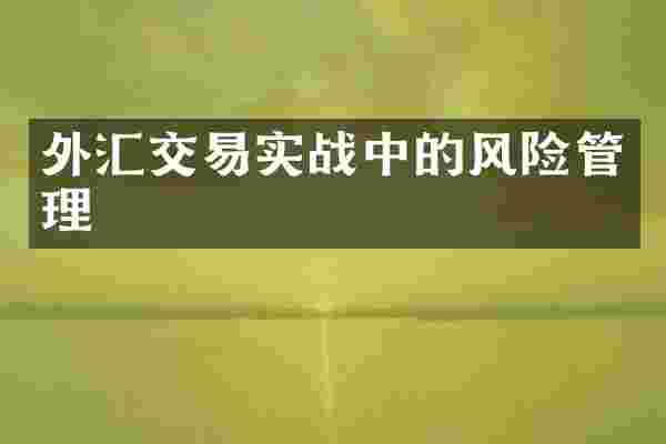 外汇交易实战中的风险管理