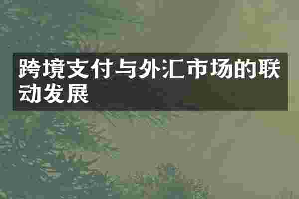 跨境支付与外汇市场的联动发展