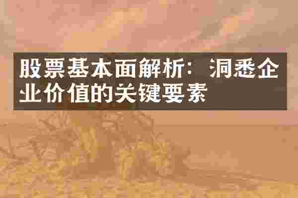 股票基本面解析：洞悉企业价值的关键要素