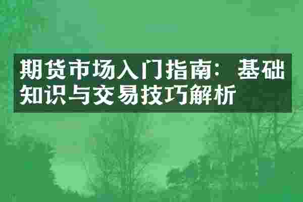 期货市场入门指南：基础知识与交易技巧解析