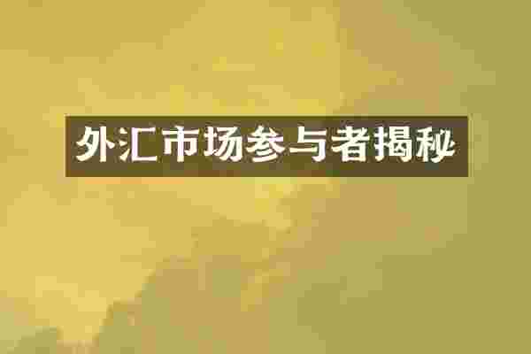 外汇市场参与者揭秘