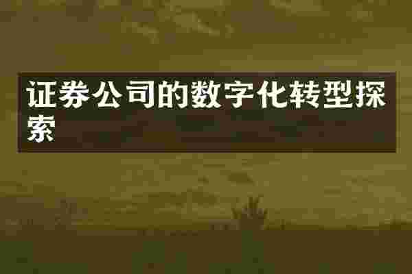 证券公司的数字化转型探索