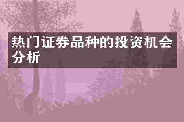 热门证券品种的投资机会分析