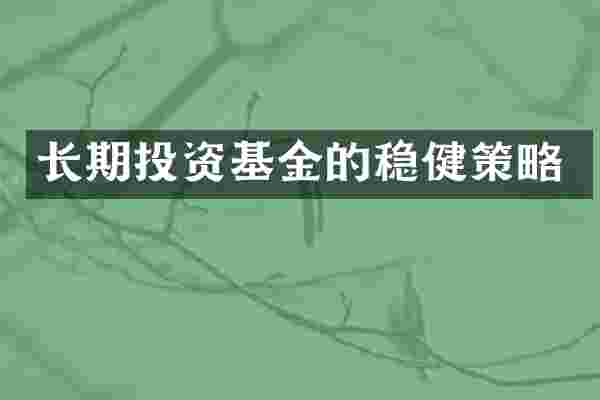 长期投资基金的稳健策略