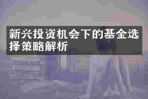 新兴投资机会下的基金选择策略解析