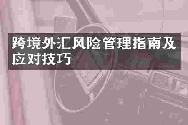 跨境外汇风险管理指南及应对技巧