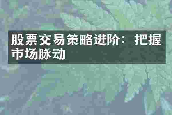 股票交易策略进阶：把握市场脉动