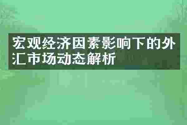 宏观经济因素影响下的外汇市场动态解析