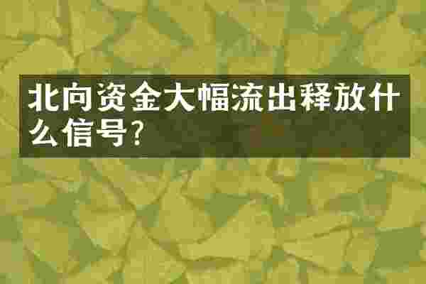 北向资金大幅流出释放什么信号？