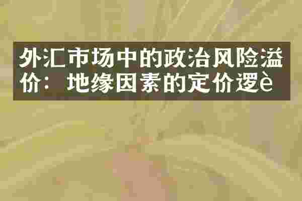 外汇市场中的政治风险溢价：地缘因素的定价逻辑