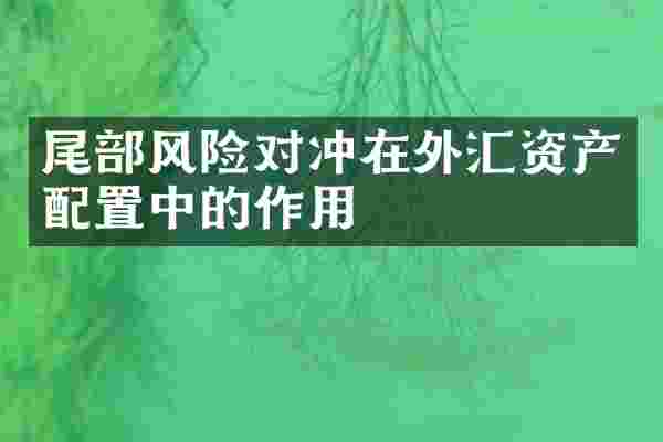 尾部风险对冲在外汇资产配置中的作用