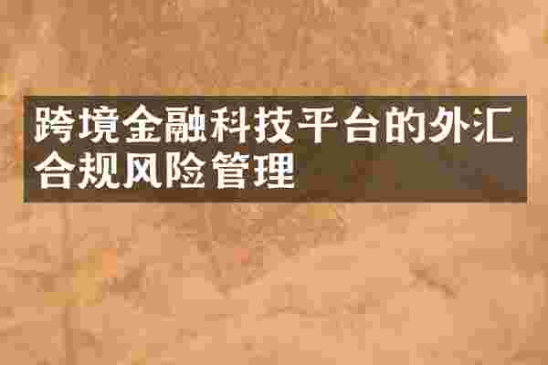 跨境金融科技平台的外汇合规风险管理