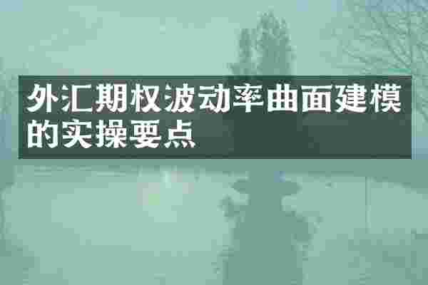 外汇期权波动率曲面建模的实操要点