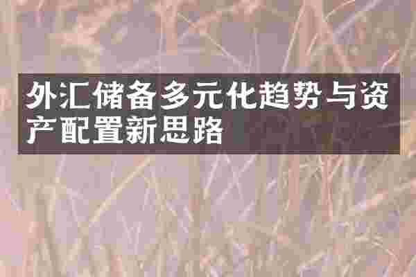 外汇储备多元化趋势与资产配置新思路