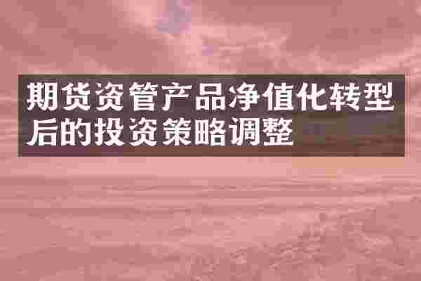 期货资管产品净值化转型后的投资策略调整
