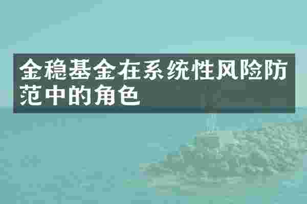 金稳基金在系统性风险防范中的角色