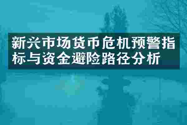 新兴市场货币危机预警指标与资金避险路径分析