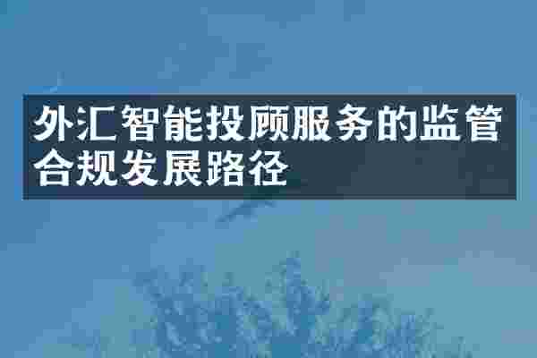 外汇智能投顾服务的监管合规发展路径