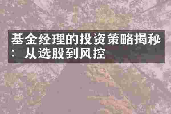 基金经理的投资策略揭秘：从选股到风控