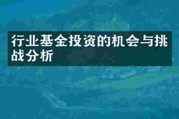 行业基金投资的机会与挑战分析