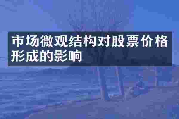 市场微观结构对股票价格形成的影响