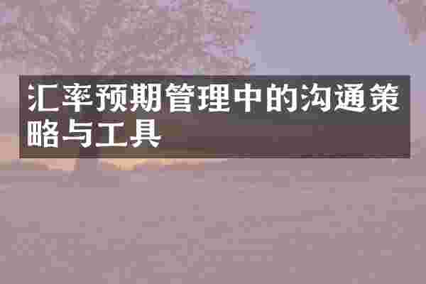 汇率预期管理中的沟通策略与工具