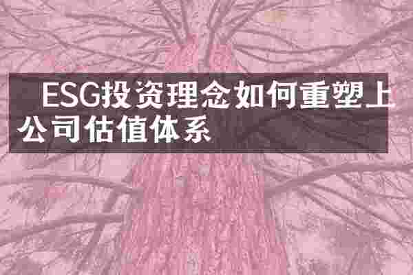   ESG投资理念如何重塑上市公司估值体系