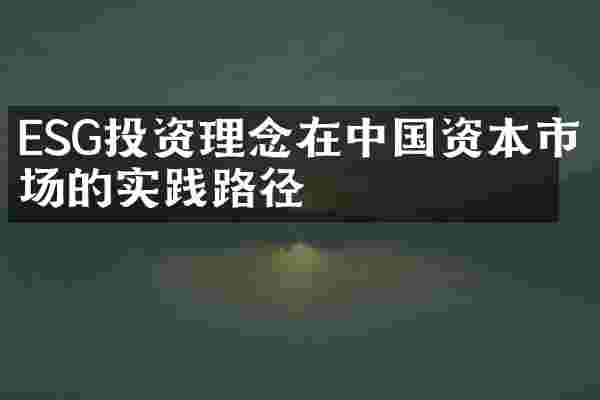 ESG投资理念在中国资本市场的实践路径