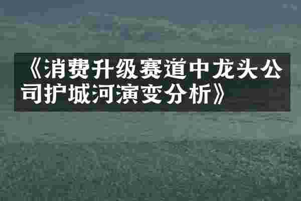 《消费升级赛道中龙头公司护城河演变分析》
