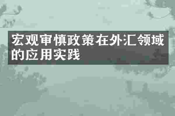 宏观审慎政策在外汇领域的应用实践