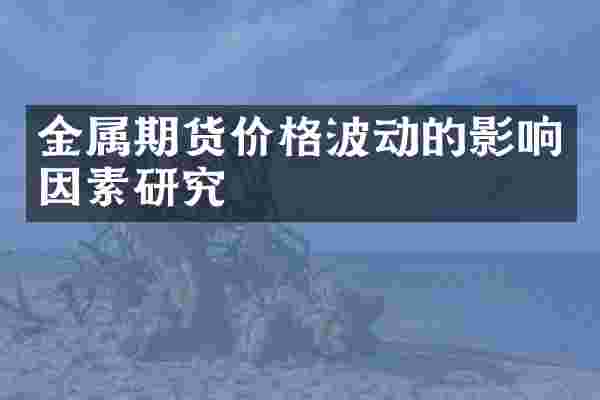 金属期货价格波动的影响因素研究