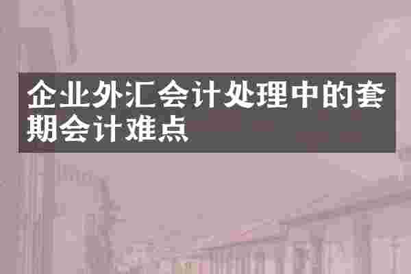 企业外汇会计处理中的套期会计难点