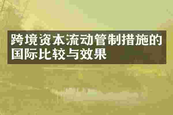 跨境资本流动管制措施的国际比较与效果