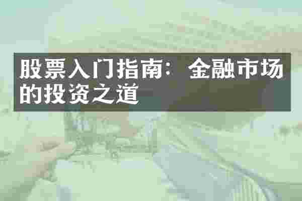 股票入门指南：金融市场的投资之道