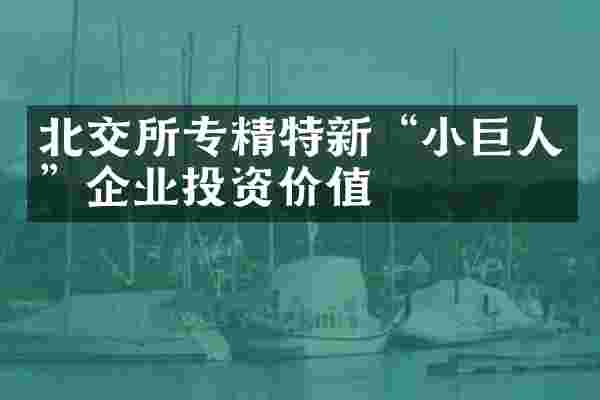 北交所专精特新&ldquo;小巨人&rdquo;企业投资价值