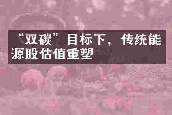 &ldquo;双碳&rdquo;目标下，传统能源股估值重塑